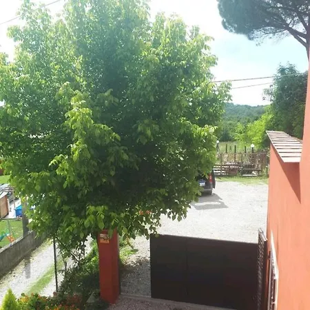 L'arca Fucecchio